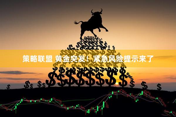 策略联盟 黄金突发！紧急风险提示来了