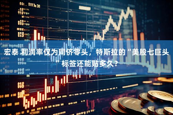 宏泰 利润率仅为同侪零头，特斯拉的“美股七巨头”标签还能贴多久？